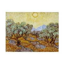 Vincent van Gogh 'Olive Trees 1889' Canvas Art
