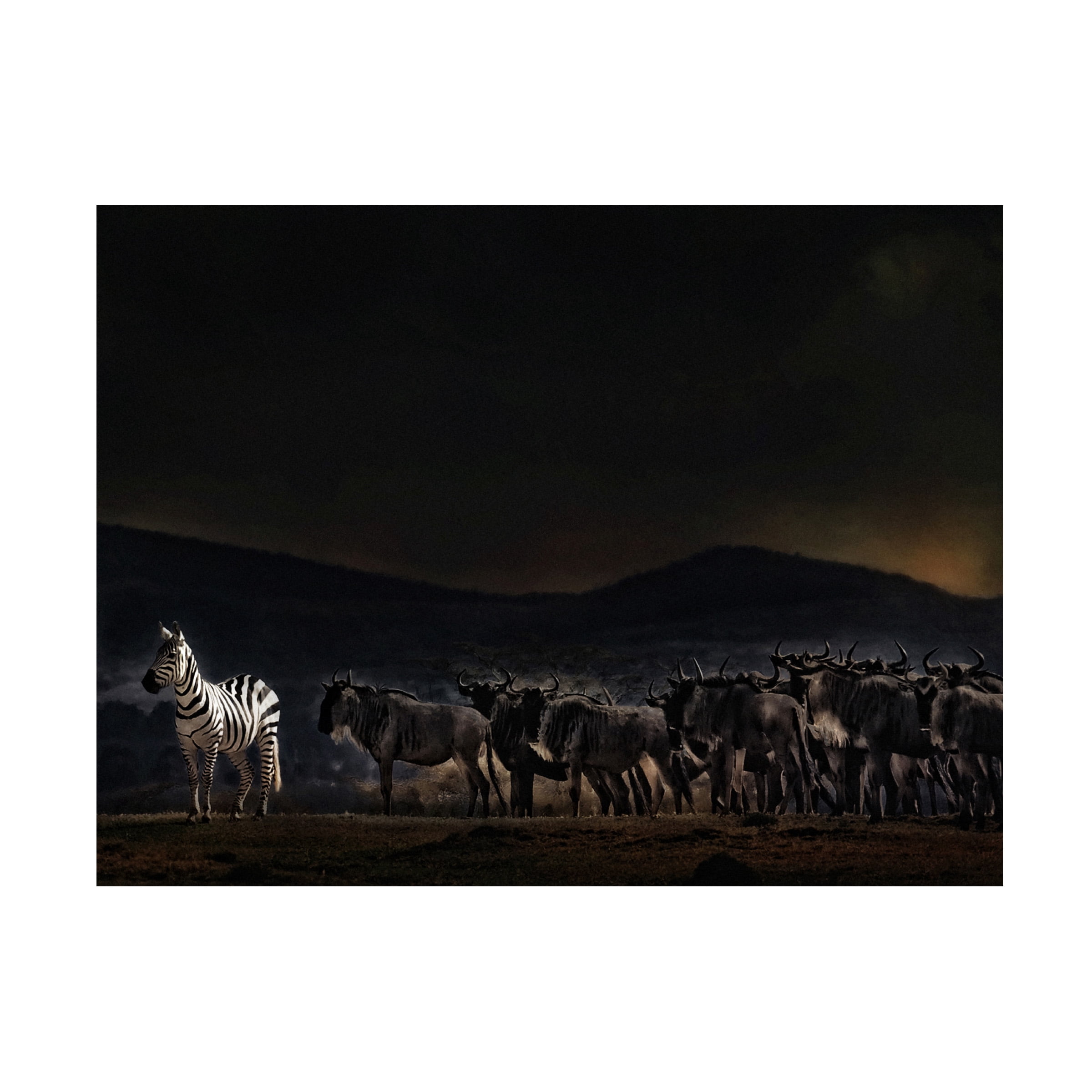 Piet Flour 'An Evening In Kenya' Canvas Art
