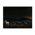 thumbnail image 1 of Piet Flour 'An Evening In Kenya' Canvas Art, 1 of 4