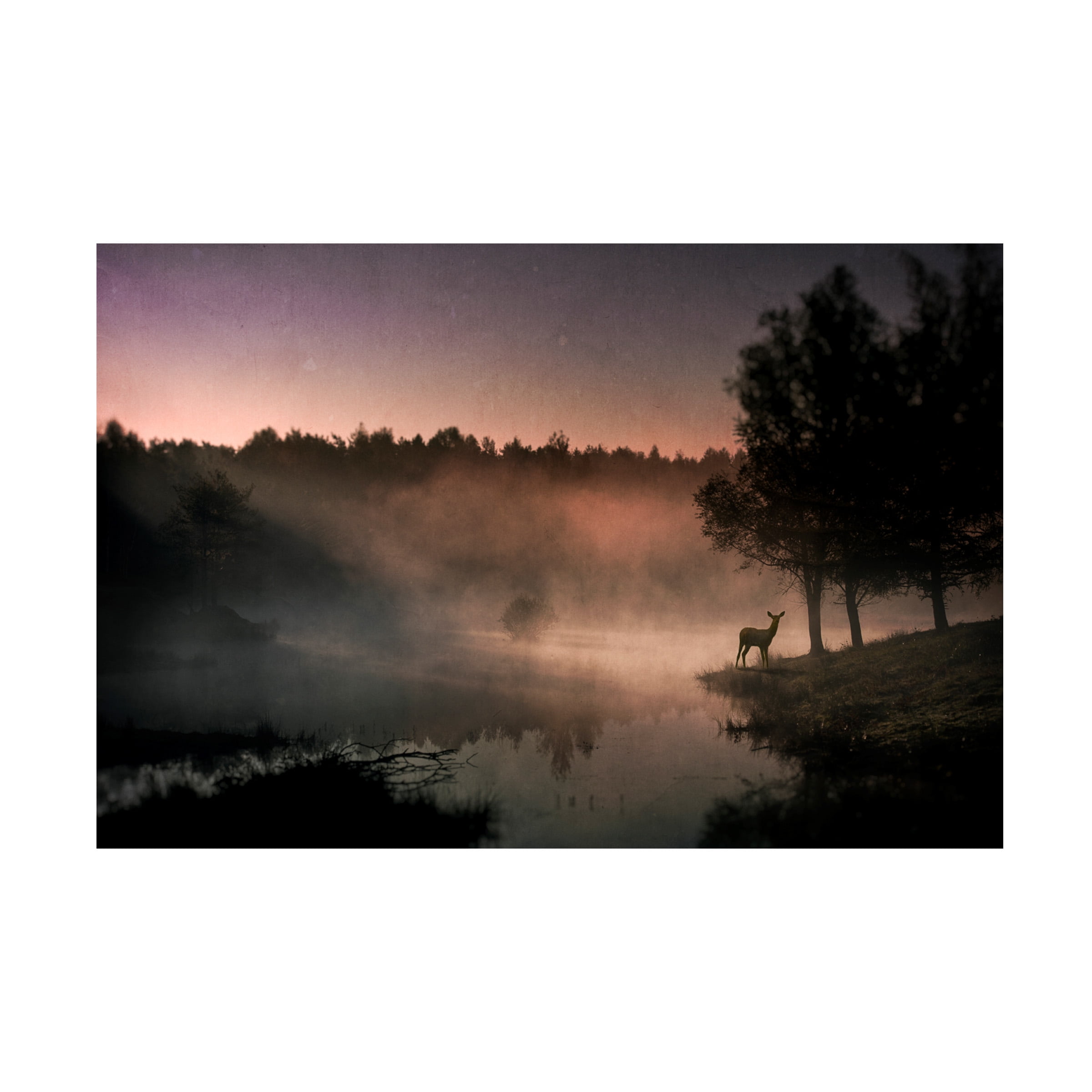 Wim Schuurmans 'Steamy Water' Canvas Art
