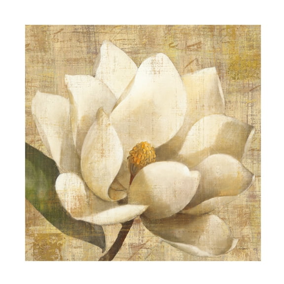 Albena Hristova 'Magnolia Blossom On Script' Canvas Art