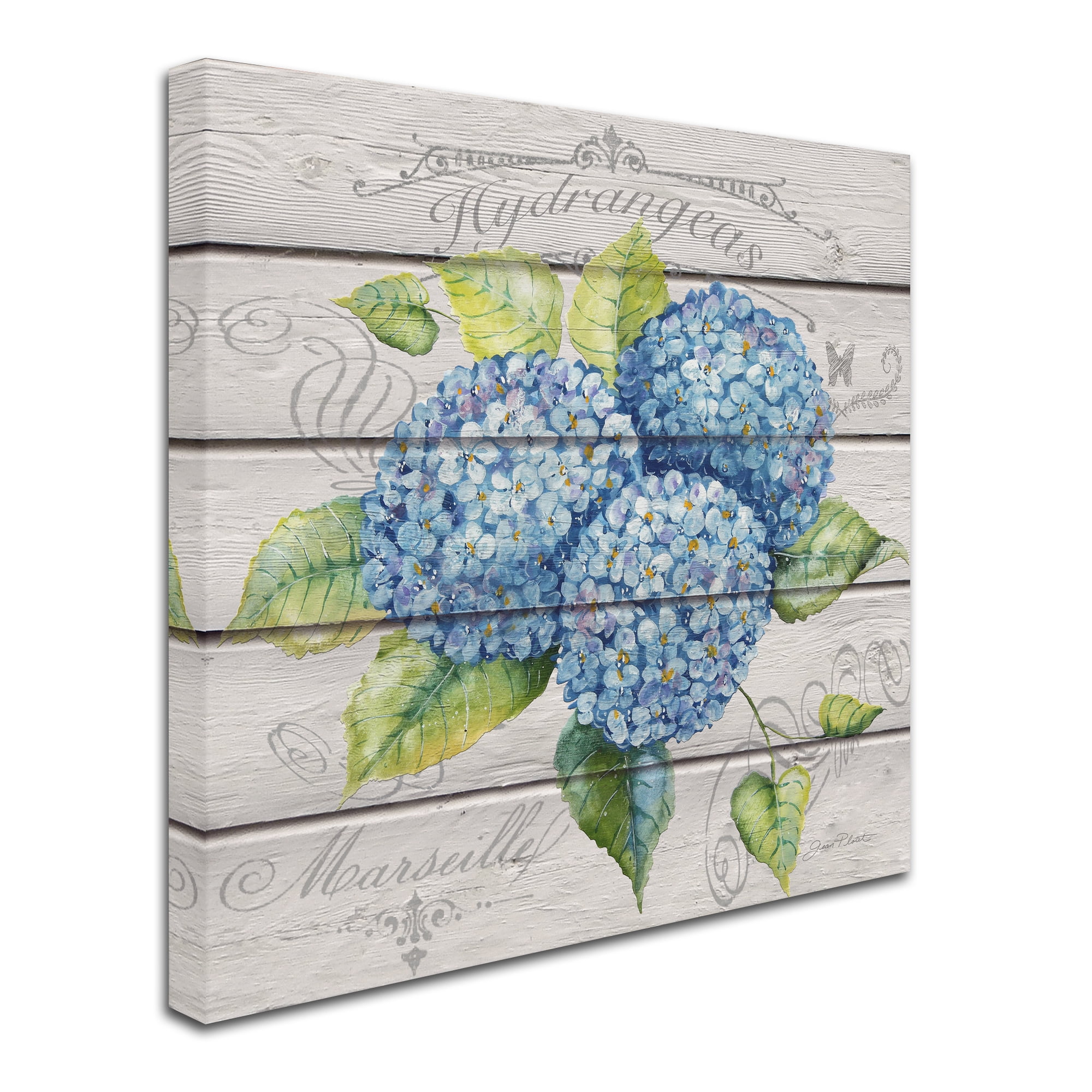 Jean Plout Blue Hydrangeas Canvas Art with Floater Frame