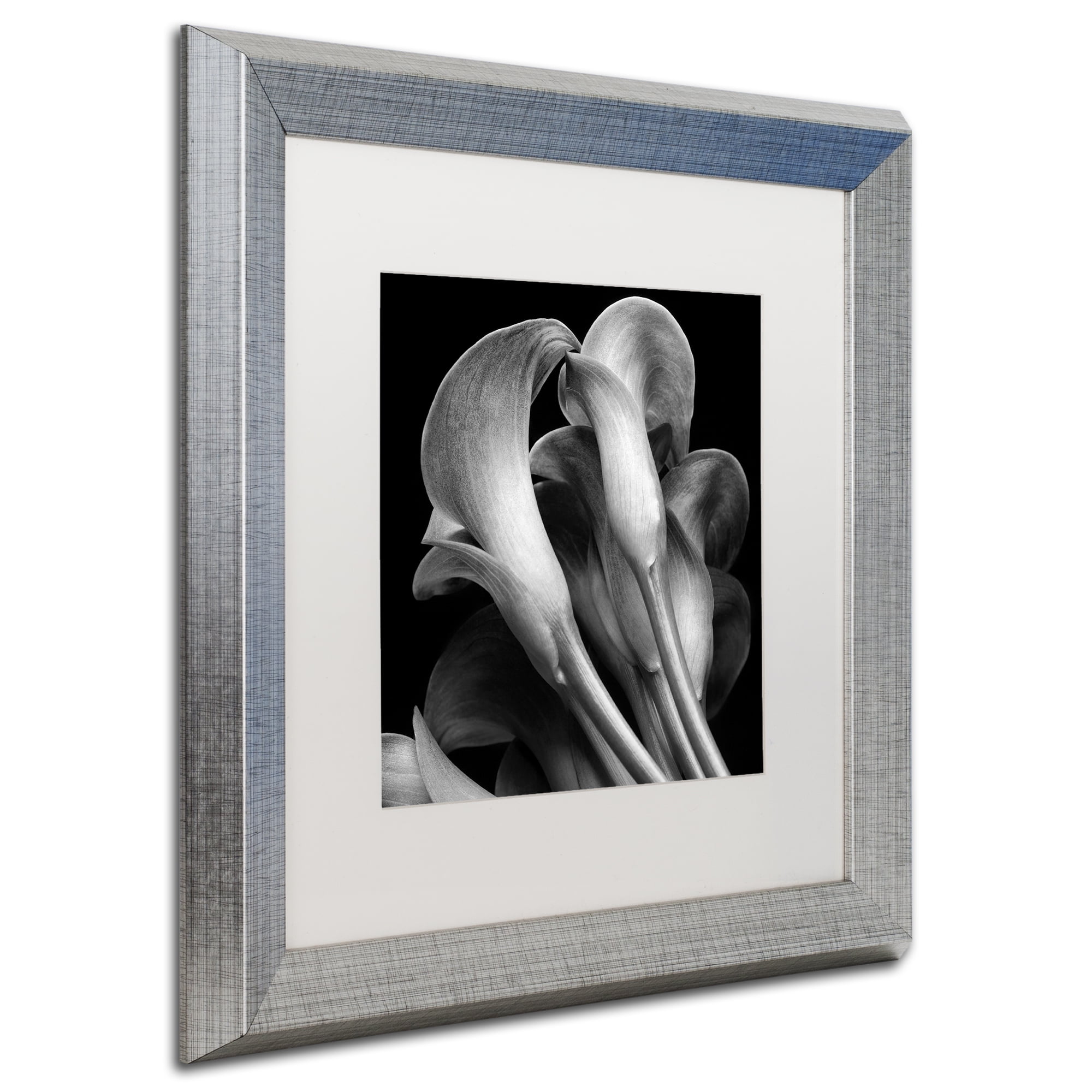 Michael Harrison 'Lillies' Matted Framed Art