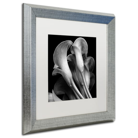 Michael Harrison 'Lillies' Matted Framed Art