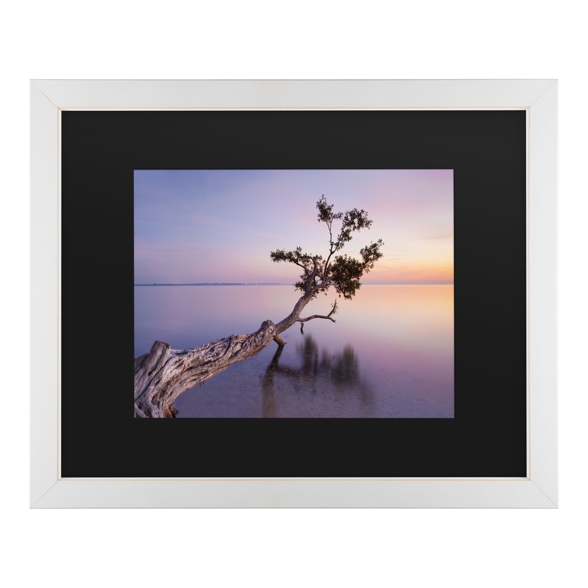 Moises Levy 'Water Tree Xv' Matted Framed Art