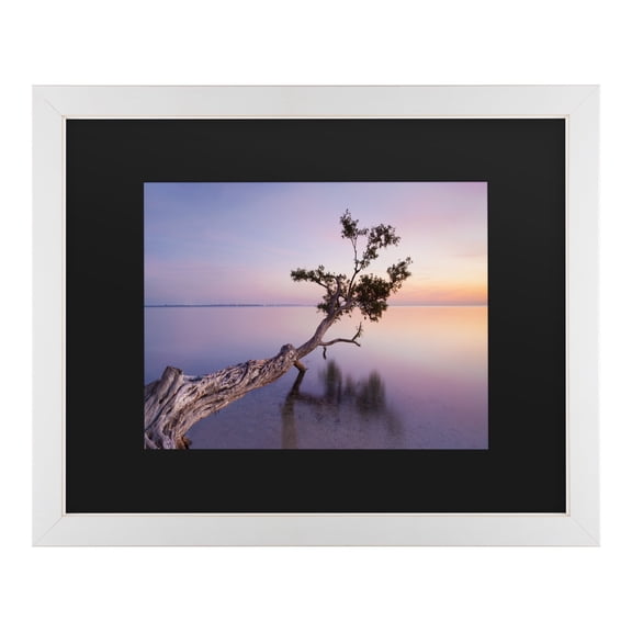 Moises Levy 'Water Tree Xv' Matted Framed Art