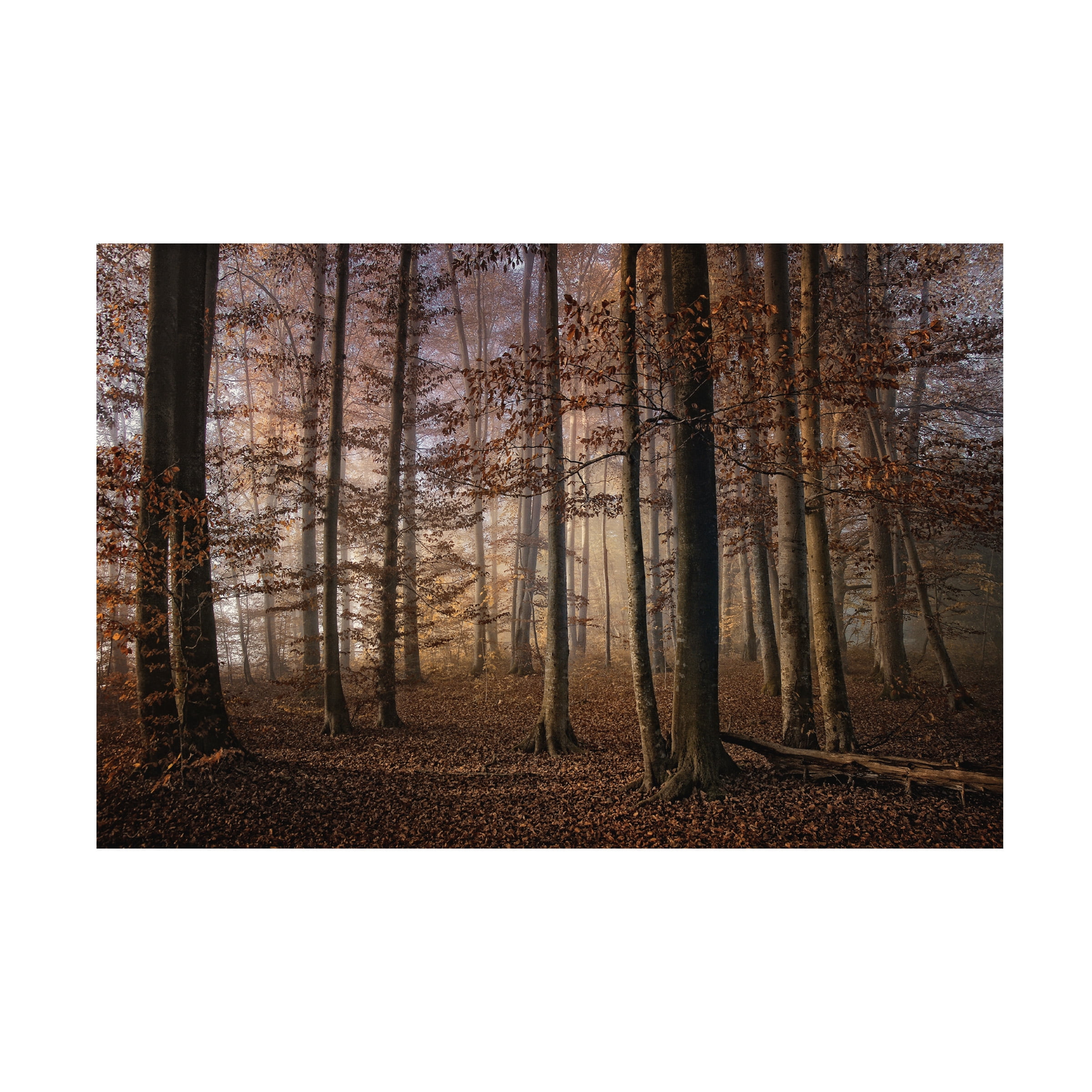 Norbert Maier 'Autumn' Canvas Art