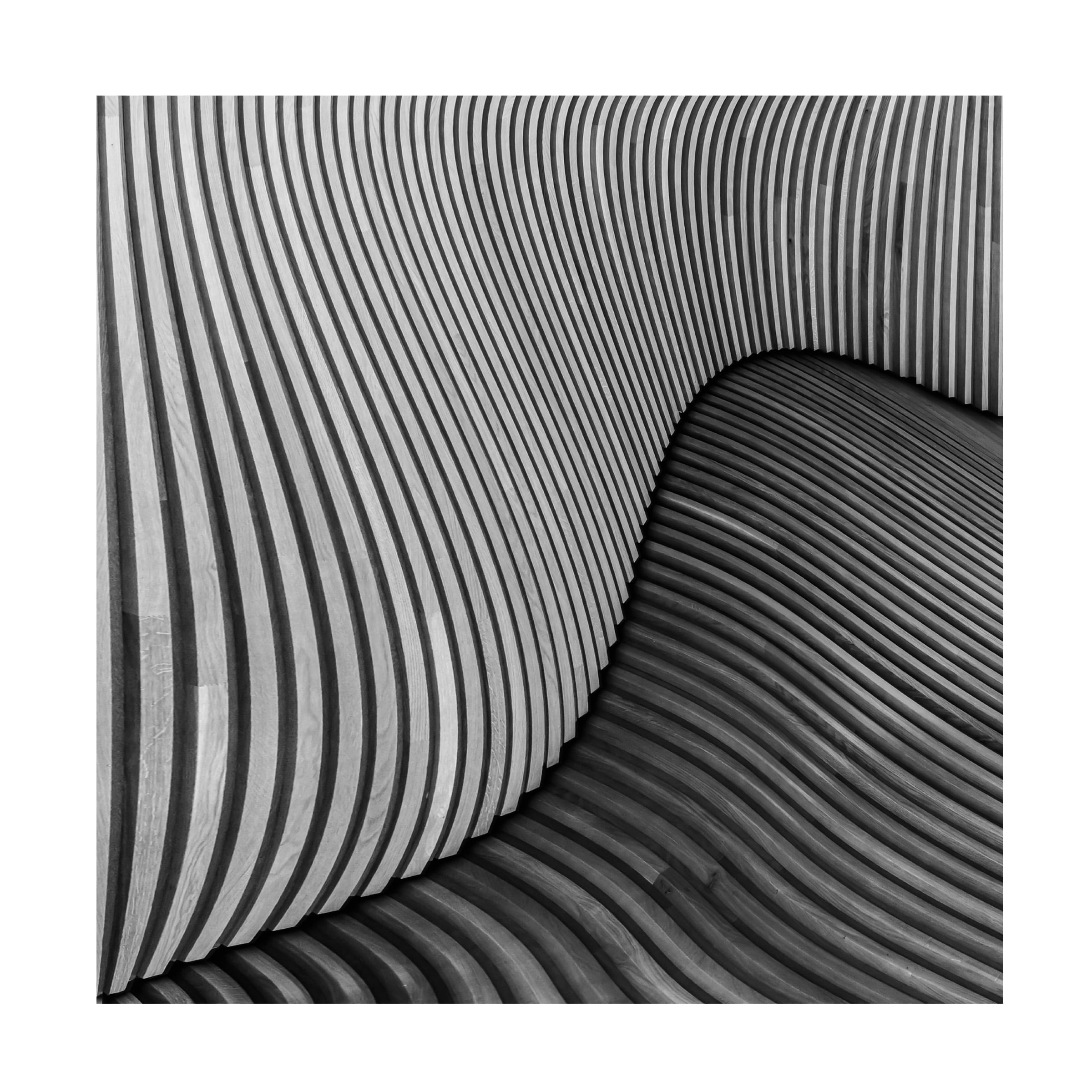 Luc Vangindertael 'Tangled Wood' Canvas Art