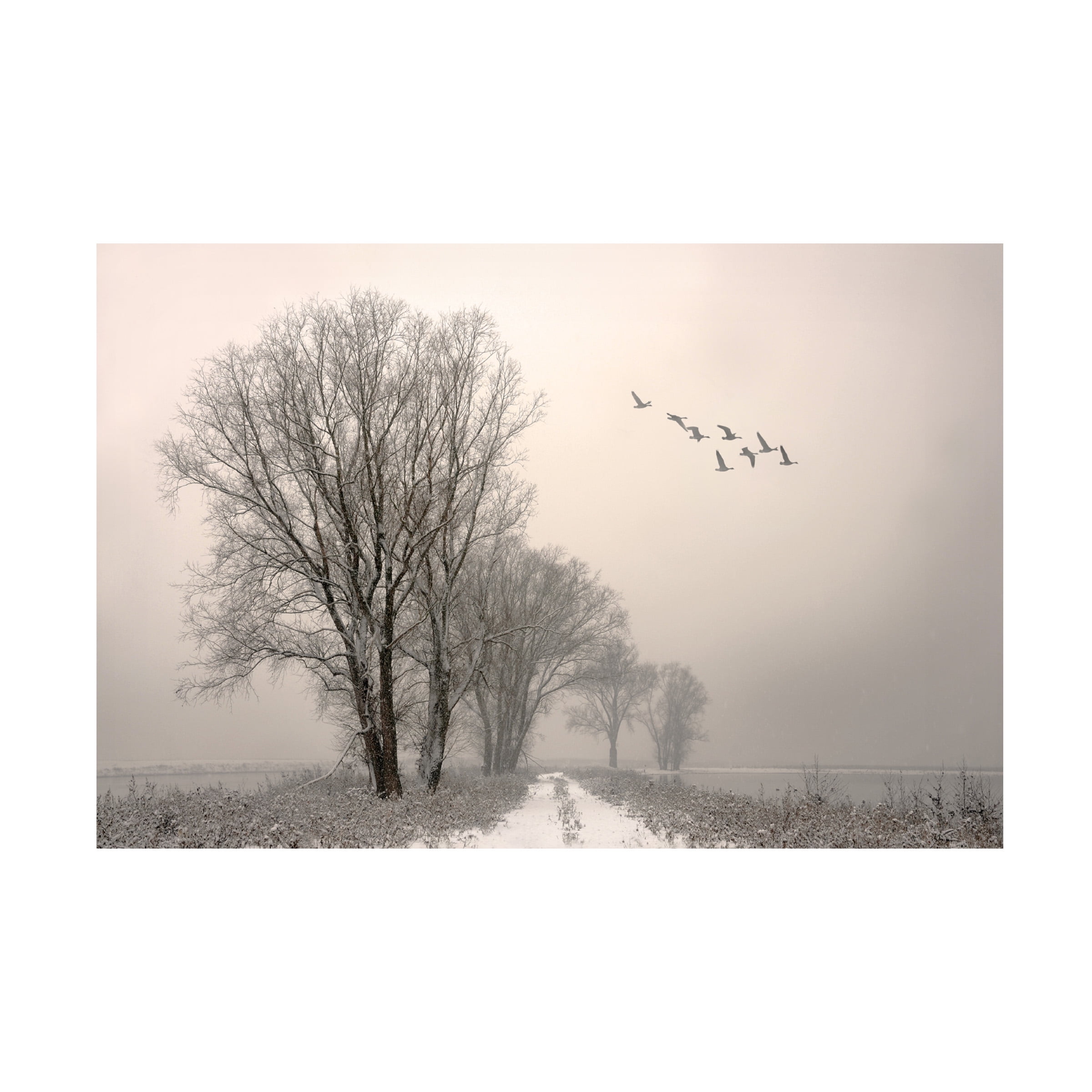 Lou Urlings 'Winter Light 1' Canvas Art