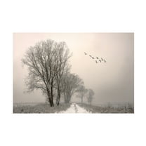 Lou Urlings 'Winter Light 1' Canvas Art