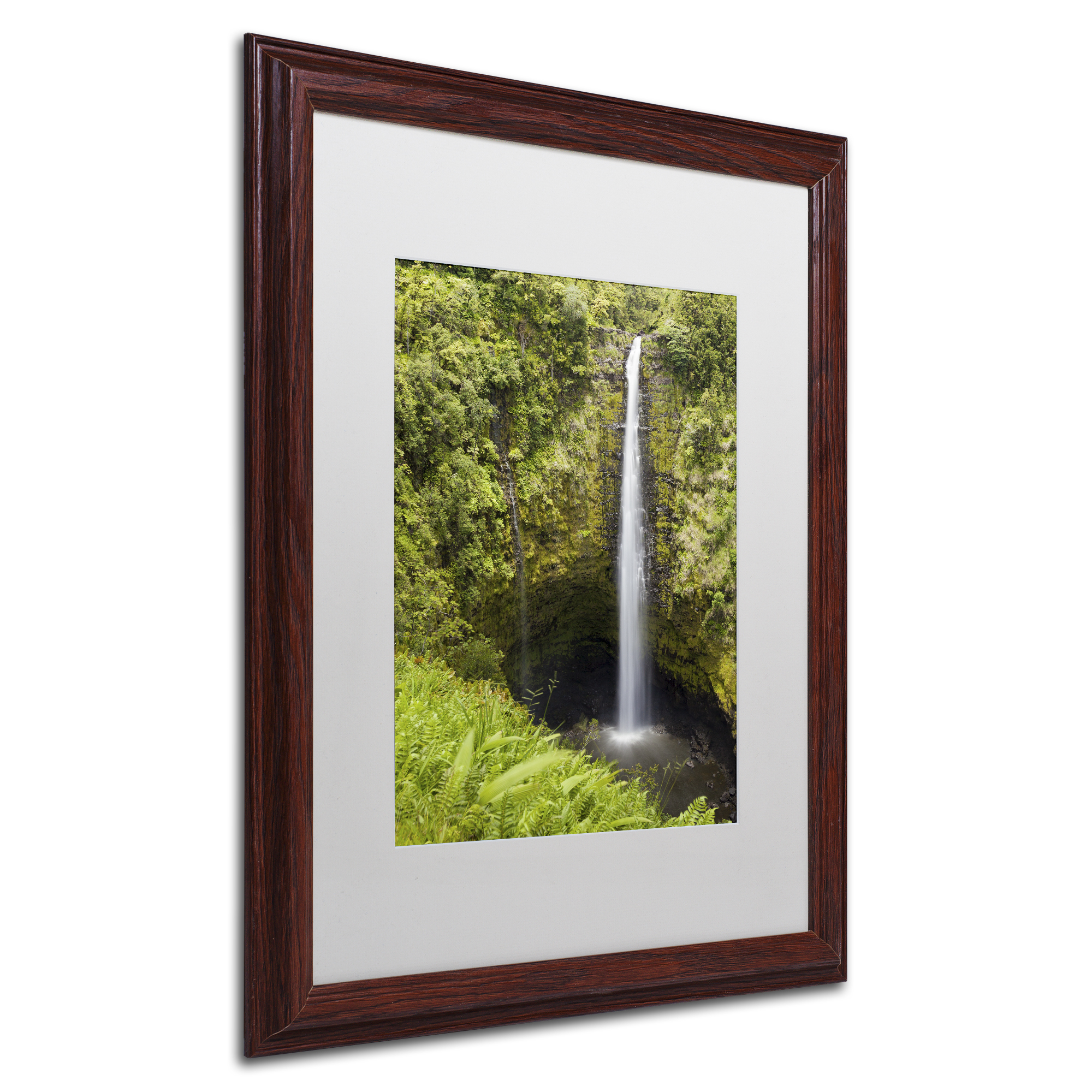 Chris Moyer 'Akaka Falls' Matted Framed Art