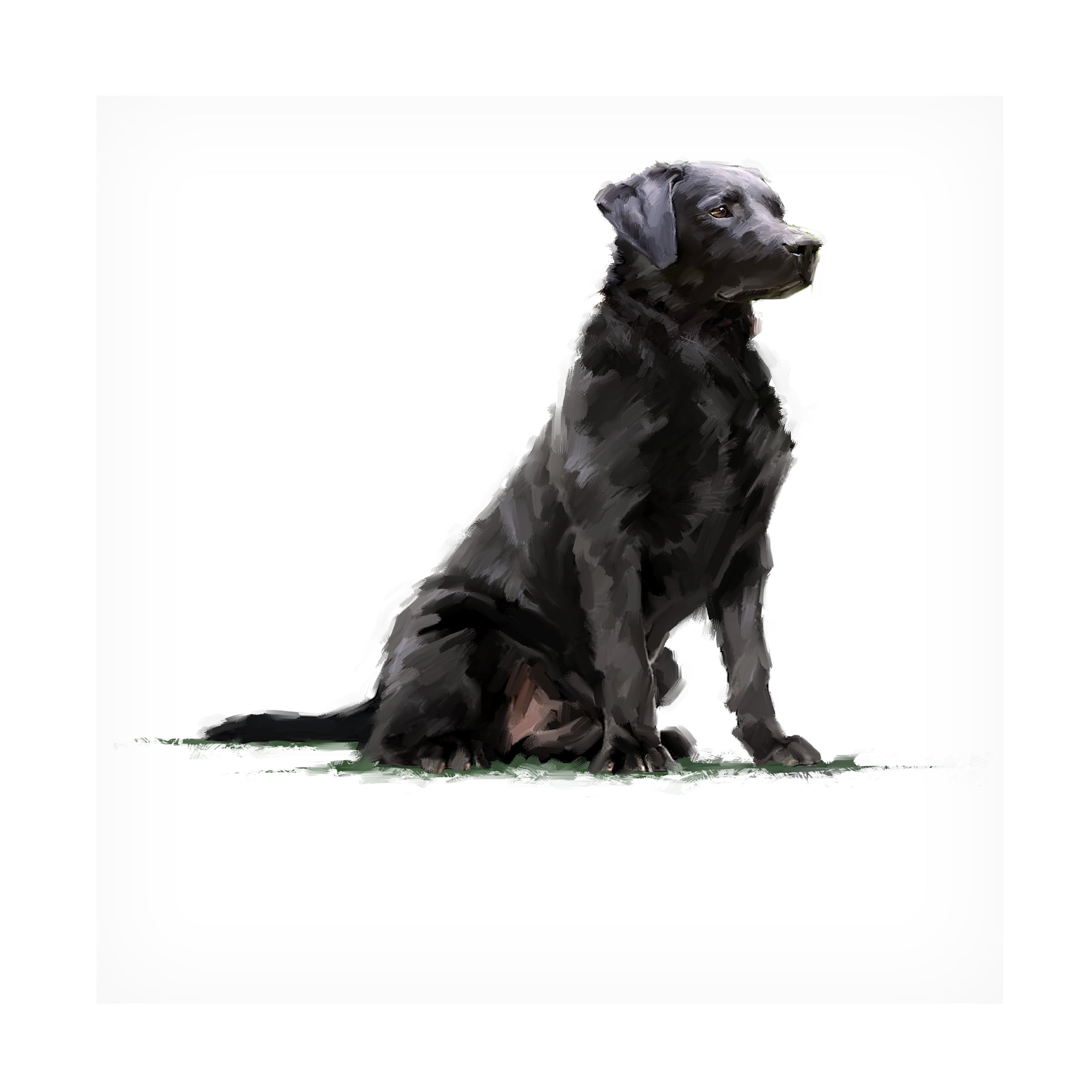 The Macneil Studio 'Black Lab' Canvas Art