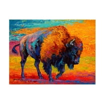 Trademark Fine Art Marion Rose Spirit Of The Prairie Canvas Wall Art - 24x32