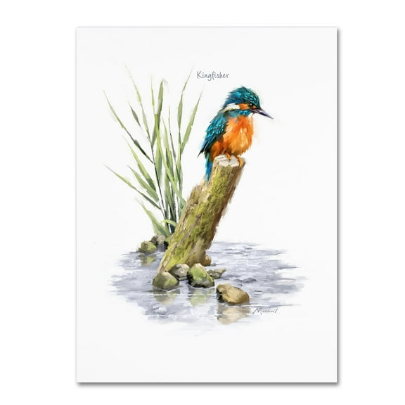 The Macneil Studio 'Kingfisher' Canvas Art
