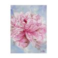 thumbnail image 1 of Li Bo 'Pink Peonie II' Canvas Art, 1 of 4