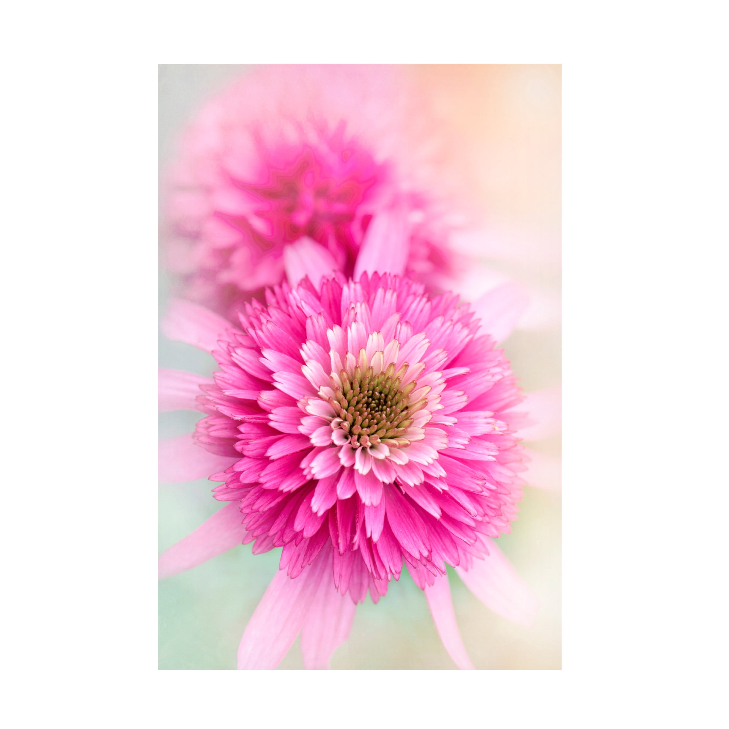 Jacky Parker 'Summer Spirit' Canvas Art