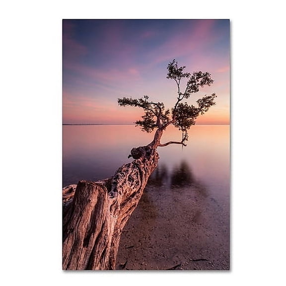 Trademark Fine Art Moises Levy Water Tree IV Canvas Wall Art - 22x32