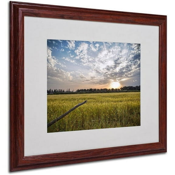 Matted art under acrylic in a black frame