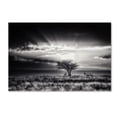 thumbnail image 1 of Piet Flour 'Sunrise With Hartebeest' Canvas Art, 1 of 3