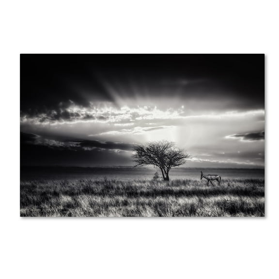 Piet Flour 'Sunrise With Hartebeest' Canvas Art