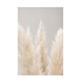 thumbnail image 1 of 1x Studio III 'Pampas Grass Grey 04' Canvas Art, 1 of 4