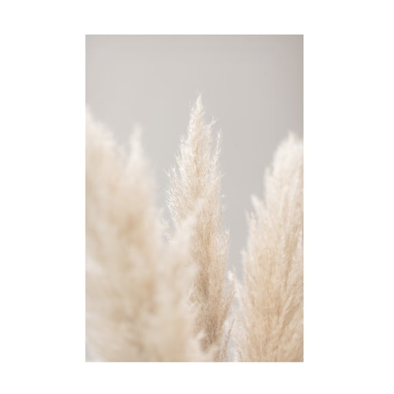 1x Studio III 'Pampas Grass Grey 04' Canvas Art
