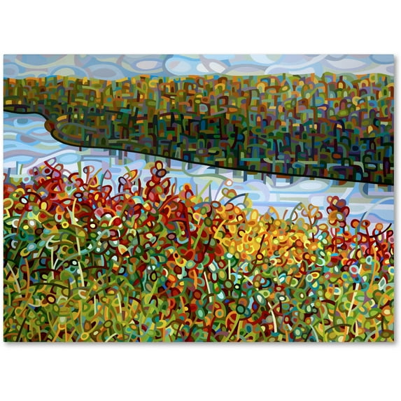 Mandy Budan 'The River' Canvas Art