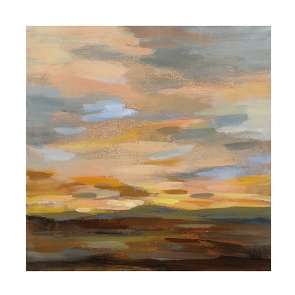Silvia Vassileva 'High Desert Sky III' Canvas Art