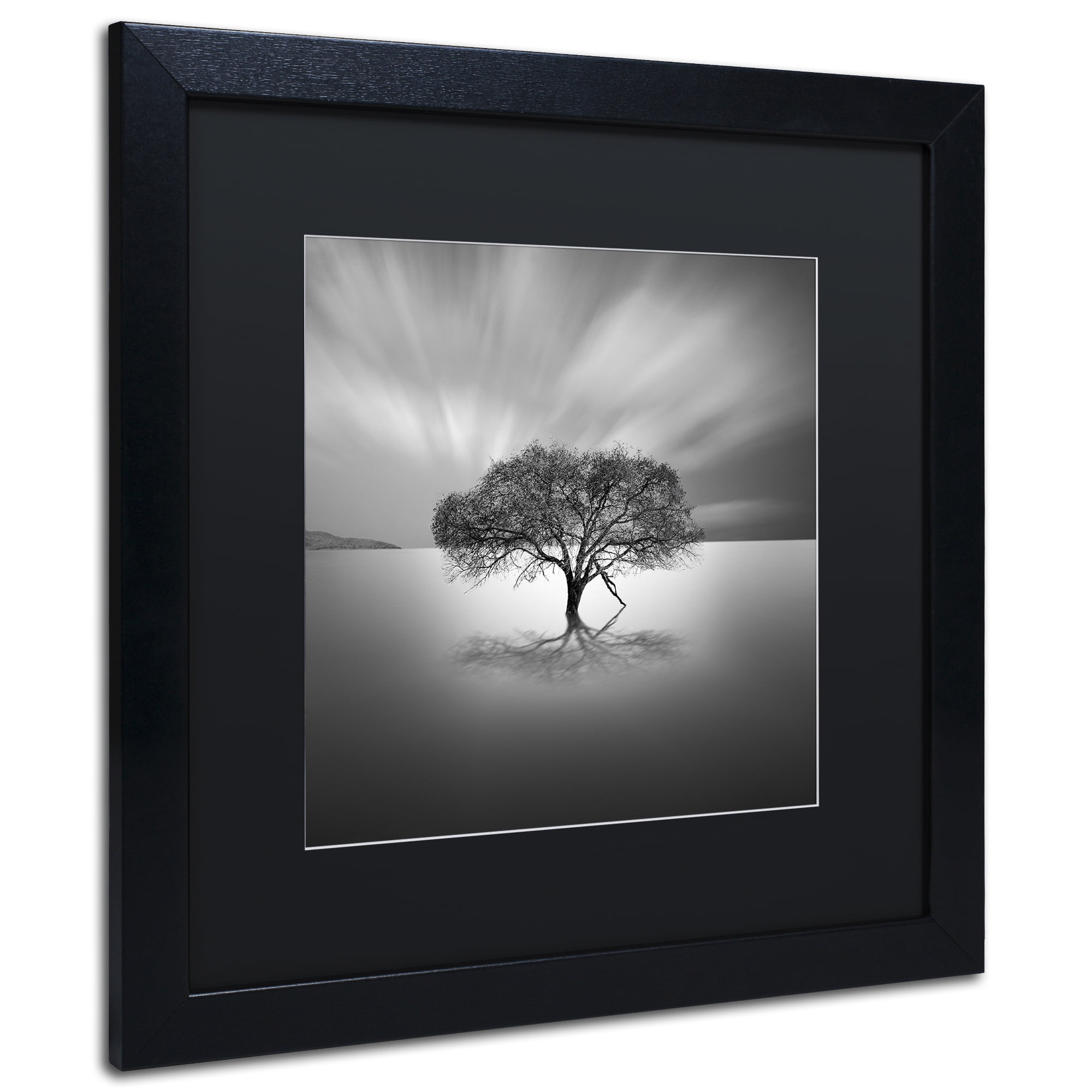 Moises Levy Water Tree VIII Matted Framed Wall Art
