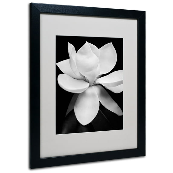 Matted art under acrylic in a black frame