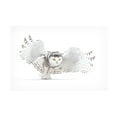 thumbnail image 1 of Jim Cumming 'Snowy Owl Jazz Wings' Canvas Art, 1 of 4