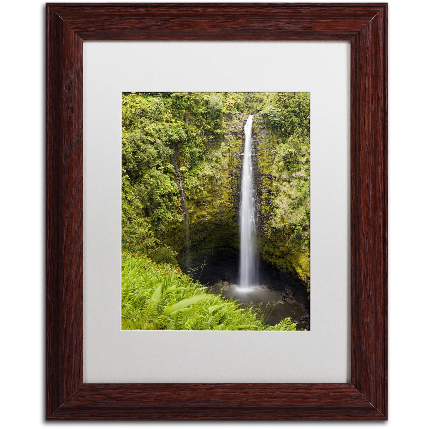 Chris Moyer 'Akaka Falls' Matted Framed Art
