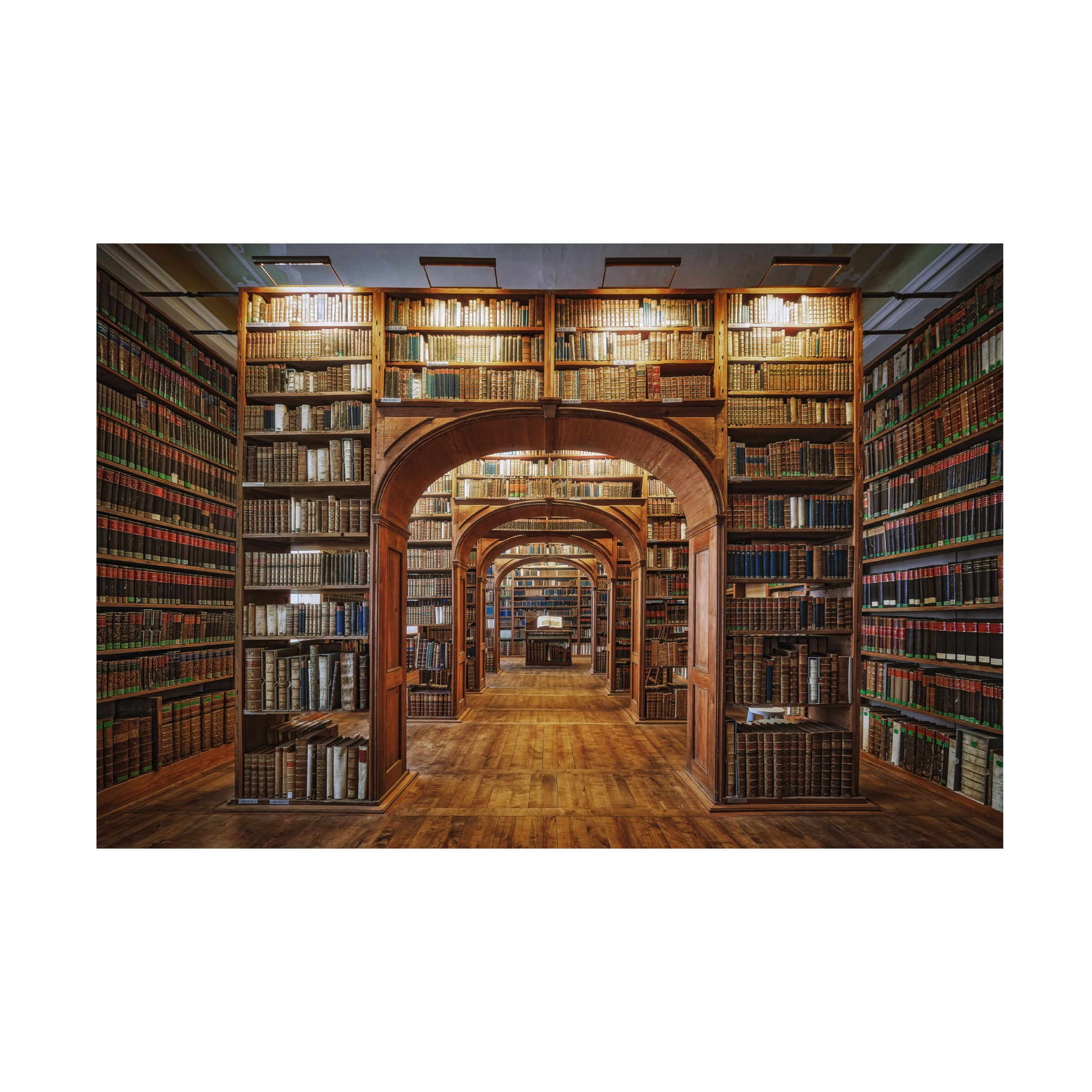 Patrick Aurednik 'Upper Lausitzian Library Of Sciences' Canvas Art