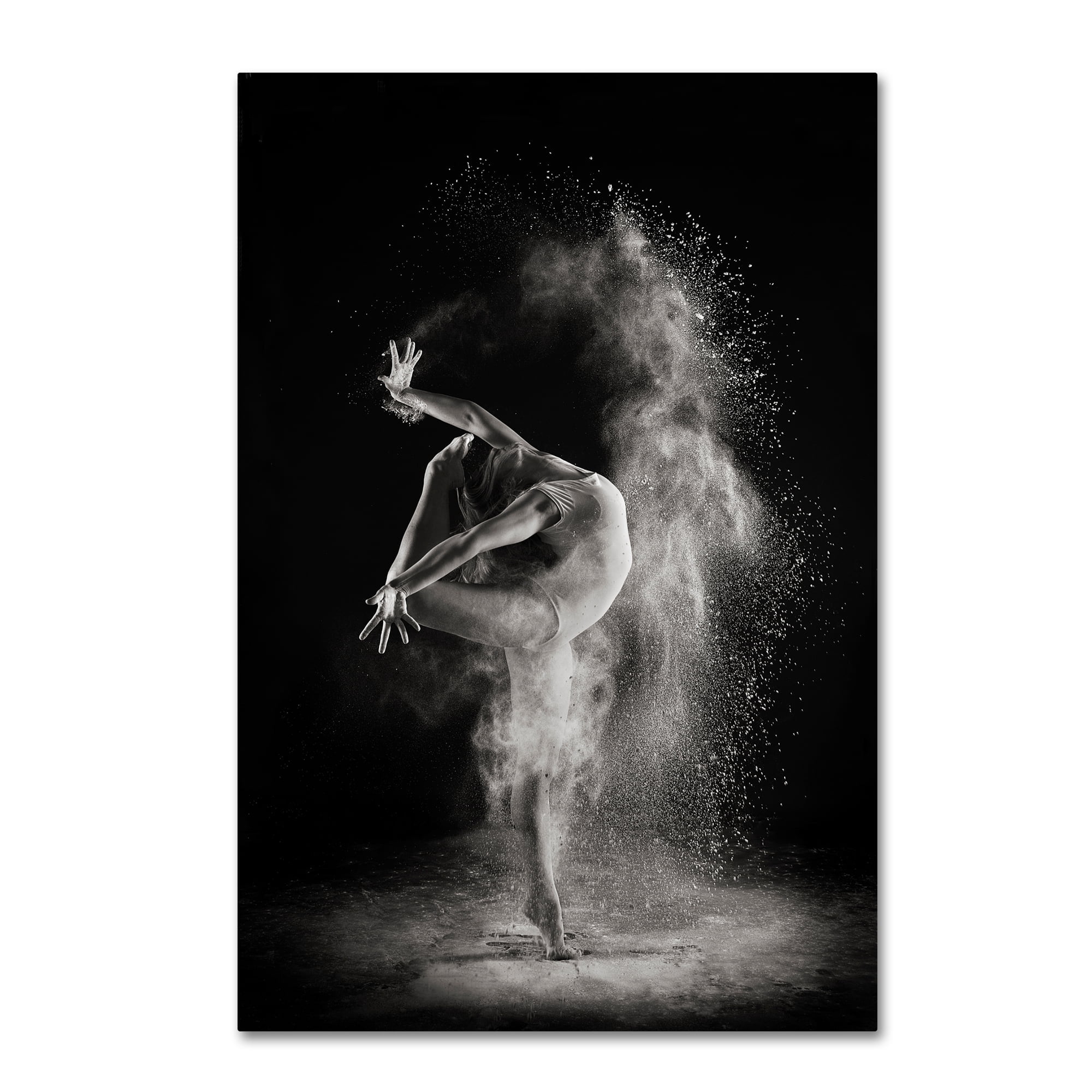 Shades And Light 'In The Light' Canvas Art