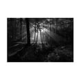 thumbnail image 1 of Leif Londal 'A Sunny Morning' Canvas Art, 1 of 4