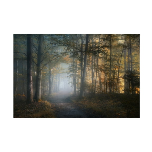 Norbert Maier 'Autumn Symphony' Canvas Art