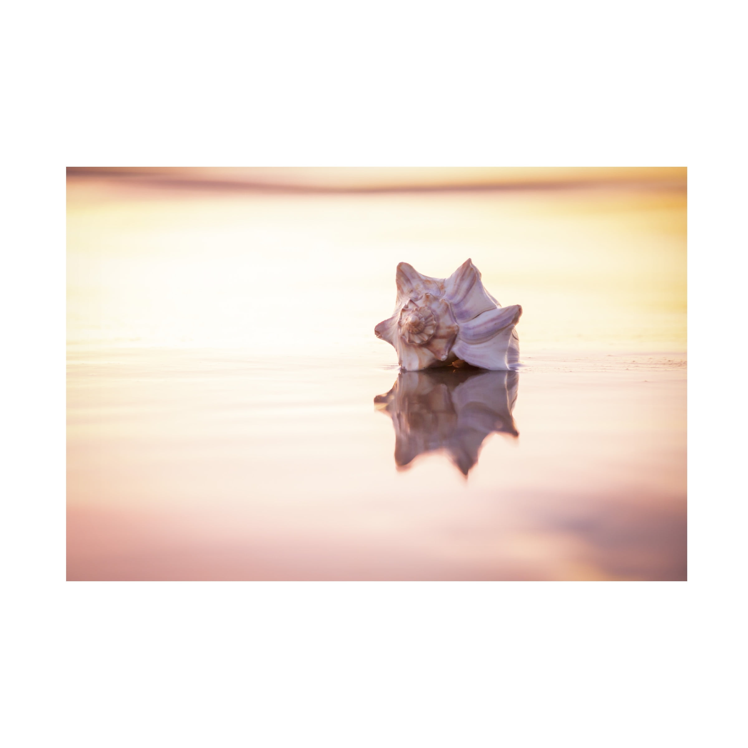 Chris Moyer 'King of the Beach' Canvas Art