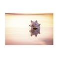 thumbnail image 1 of Chris Moyer 'King of the Beach' Canvas Art, 1 of 4