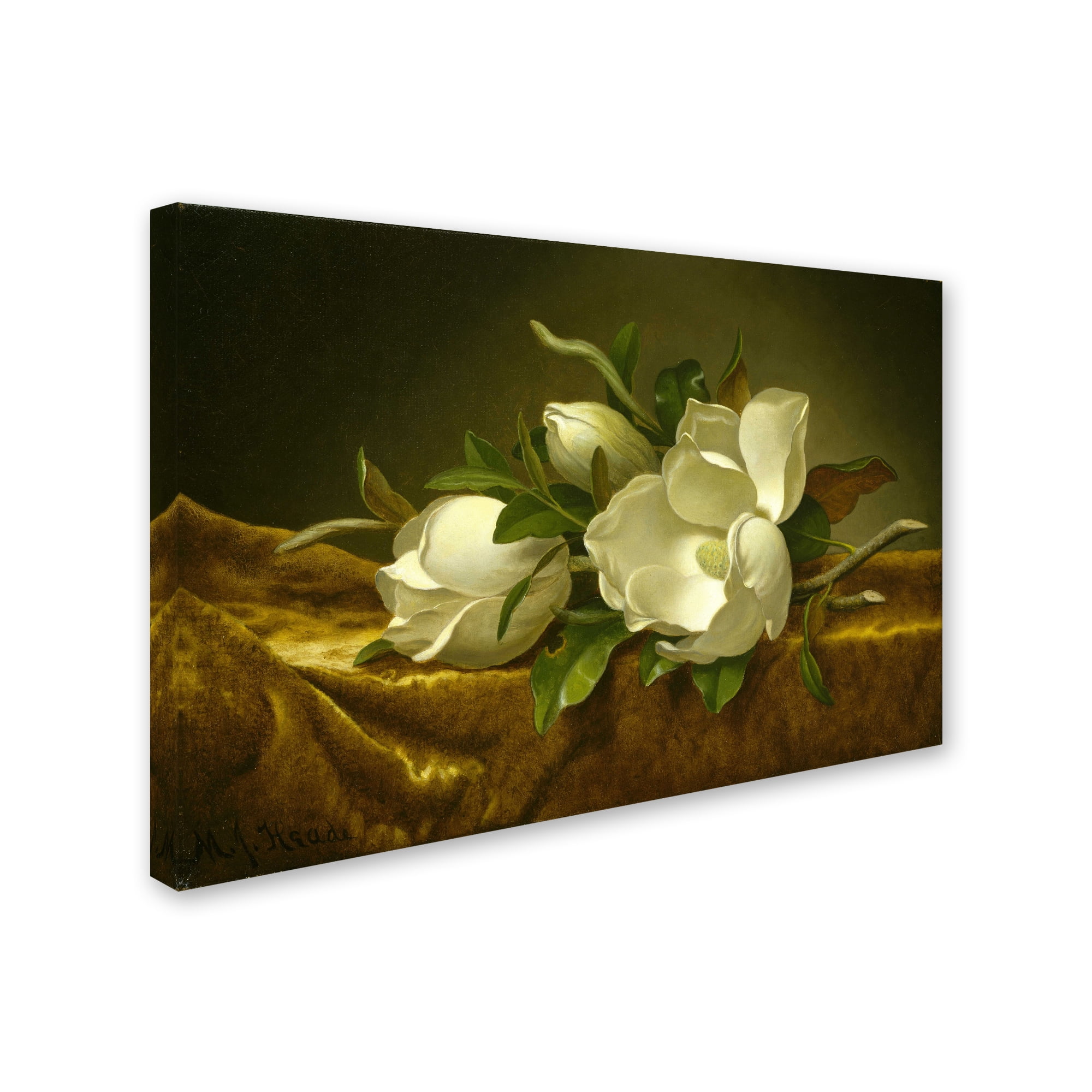 Magnolias on Gold Velvet Cloth Canvas Art Print, 27" x 33"