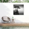 thumbnail image 1 of Trademark Fine Art Dave MacVicar The Lone Cypress Outdoor Canvas Art, 1 of 7