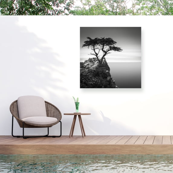 Trademark Fine Art Dave MacVicar The Lone Cypress Outdoor Canvas Art