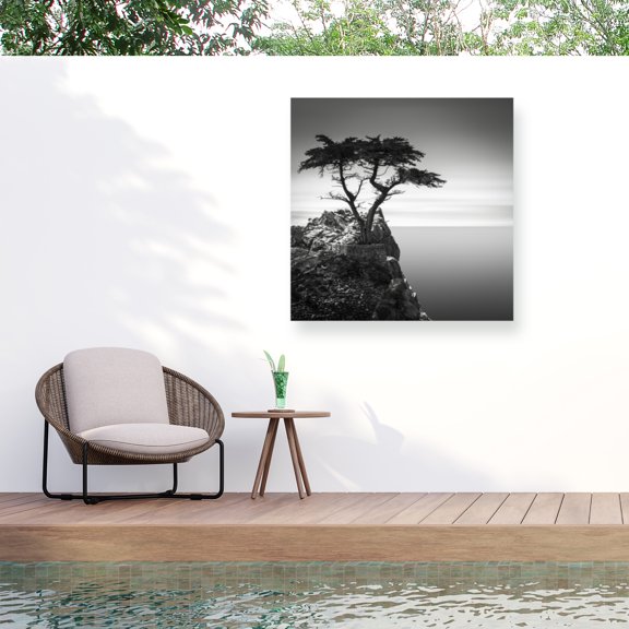 Trademark Fine Art Dave MacVicar The Lone Cypress Outdoor Canvas Art