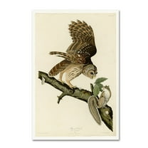 Audubon 'Barred Owlplate 46' Canvas Art