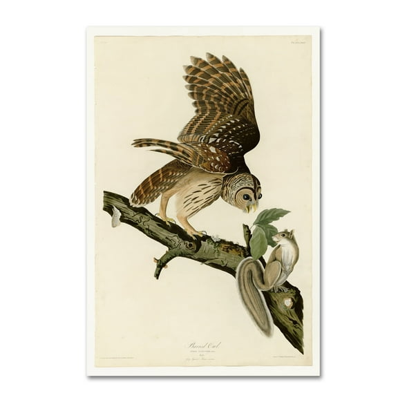 Audubon 'Barred Owlplate 46' Canvas Art