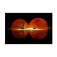 thumbnail image 1 of Wieteke De Kogel 'Tomatoes' Canvas Art, 1 of 4
