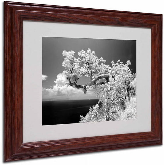 Matted art under acrylic in a wood frame