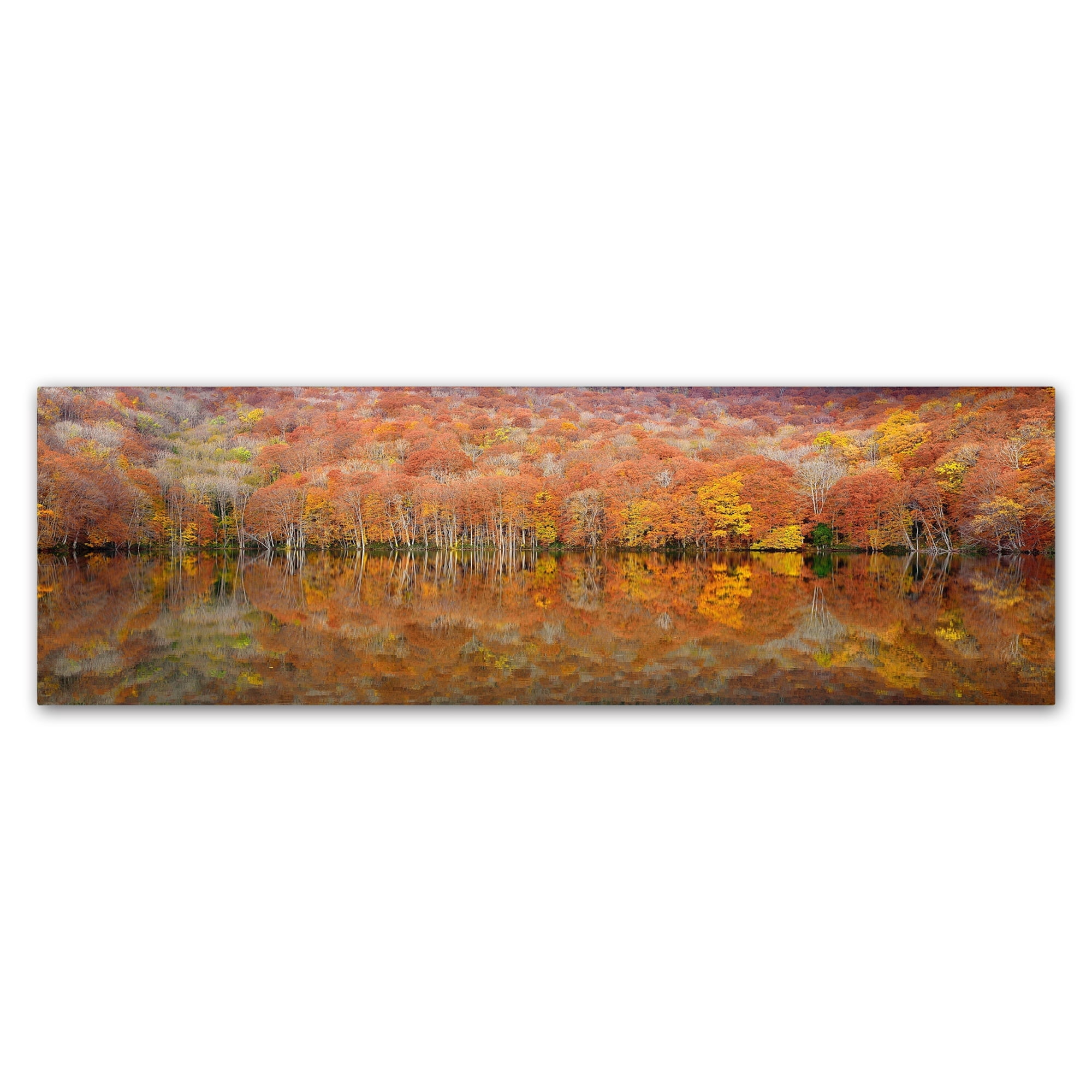 Sho Shibata 'Glowing Autumn' Canvas Art