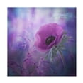 thumbnail image 1 of Natalia Simongulashvili 'Ecstasy' Canvas Art, 1 of 4