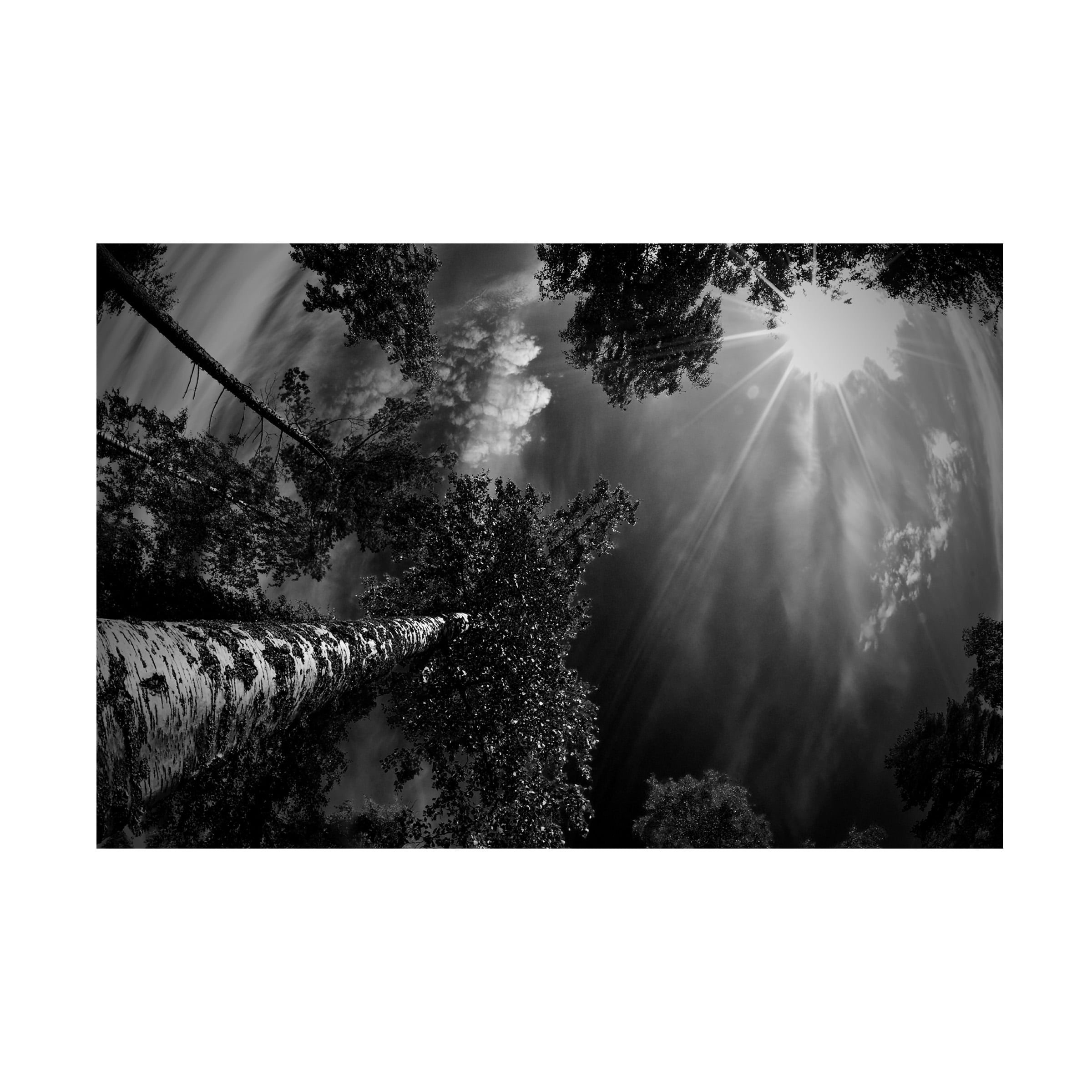 Mikael Jigmo 'Dreaming Before The Thunder' Canvas Art