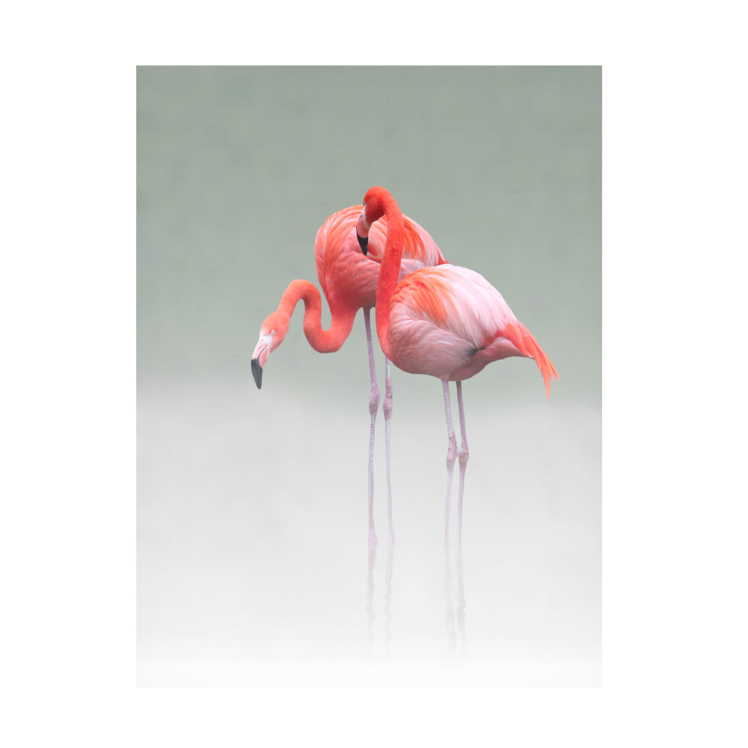 Anna Cseresnjes 'Just We Two' Canvas Art